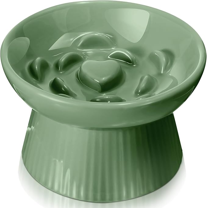 Tioncy 1 Pcs Raised Cat Slow Feeder Bowl Ceramic Elevated Cat Dog Food Bowl No Spill High Edge for Dry Wet Food and Water Easy to Clean, Dishwasher Safe (Sage Green)
