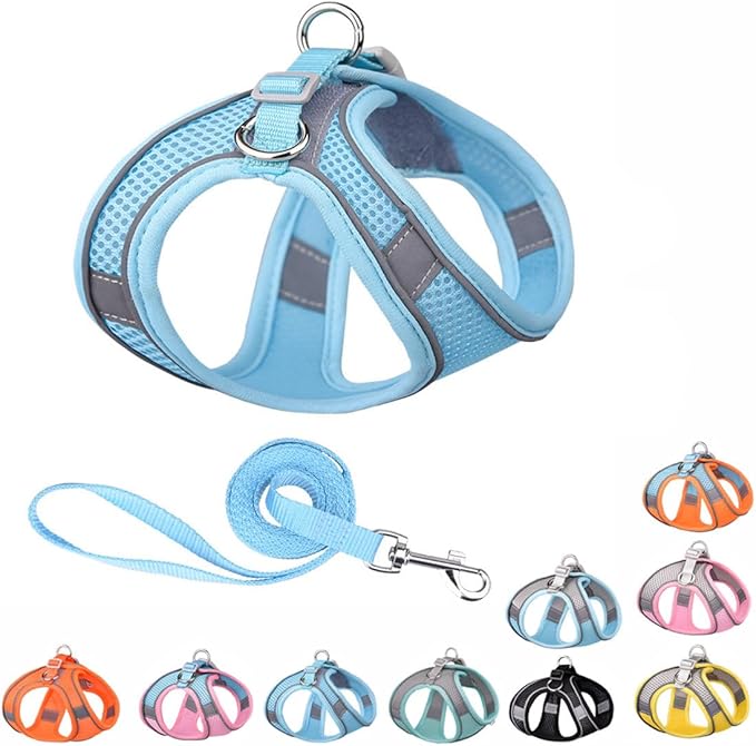 Blue Dog Harness for Small Dogs, No-Pull Puppy Harness and ith Leash for Easy Walk, Breathable Mesh Reflective Cat Vest for XXS Xs Small Medium Breed Pet Dogs, S