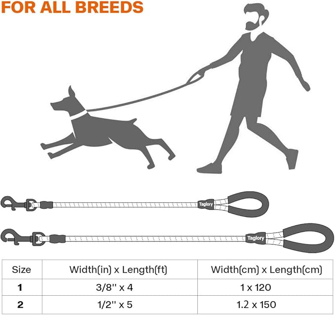 Taglory Rope Dog Leash 5 FT with Comfortable Padded Handle, Highly Reflective Threads Leash for Medium Large Dogs, 1/2 inch, Green