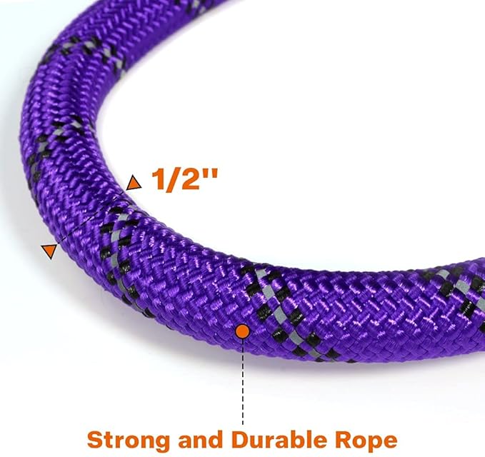 Taglory Rope Dog Leash 6 FT with Comfortable Padded Handle, Highly Reflective Threads Leash for Medium Large Dogs, 1/2 inch, Purple