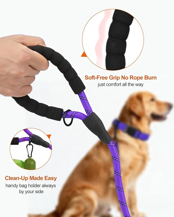 Joytale Dog Leash for Large Dogs, Heavy Duty Nylon Leashes with Comfortable Padded Handle and Highly Reflective Threads, Ideal for Walking and Training, Purple, 6'횞1/2''