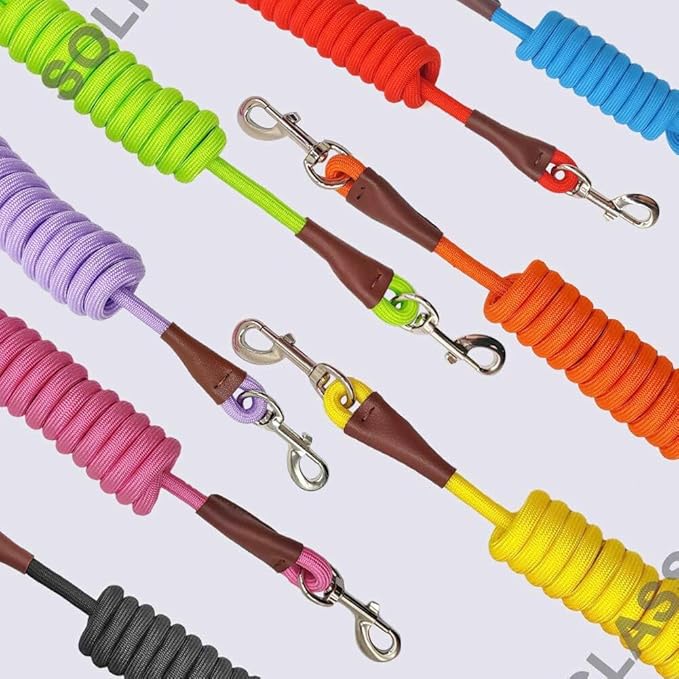 MayPaw 4/6 /8/10 FT Dog Leash, Classic Solid Colors, Strong Nylon Rope Dog Leash Reinforced with Leather Tailor Connection Heavy Duty Silver Clasp (red, 6ft*1/2")
