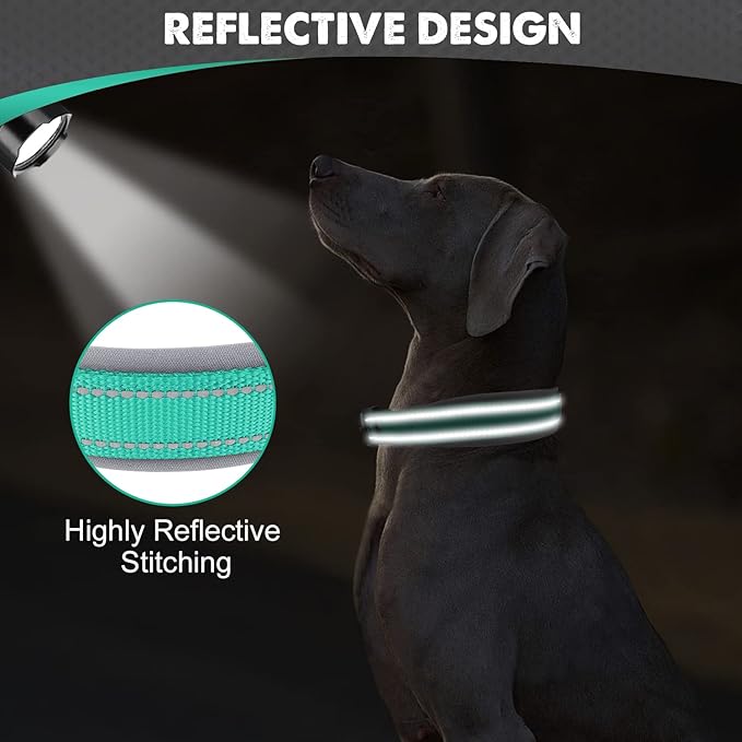 Joytale Dog Collar for Extra Large Dogs, Neoprene Padded and Adjustable, Reflective Wide Heavy Duty Pet Collars with Durable Metal Belt Buckle for Walking, Teal, XL