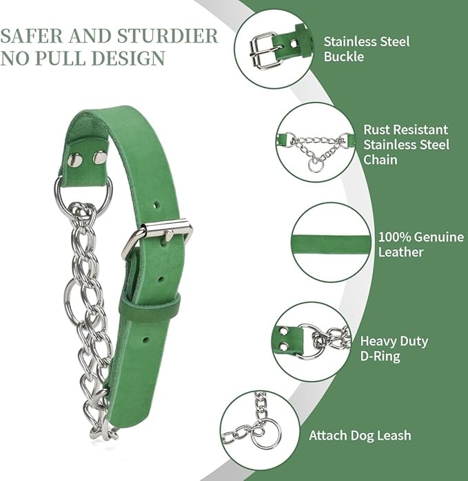 Martingale Collar for Dogs No-Pull Adjustable Training Collar with Stainless Steel Chain - Genuine Leather Anti-Slip Design for Small,Medium,Large Breed Dogs - Green (M)