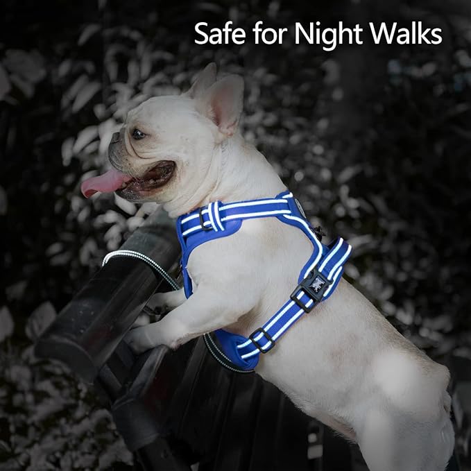 PoyPet No Pull Dog Harness, No Choke Reflective Dog Vest, Adjustable Pet Harnesses with Easy Control Padded Handle for Small Medium Large Dogs(Royal Blue,L)