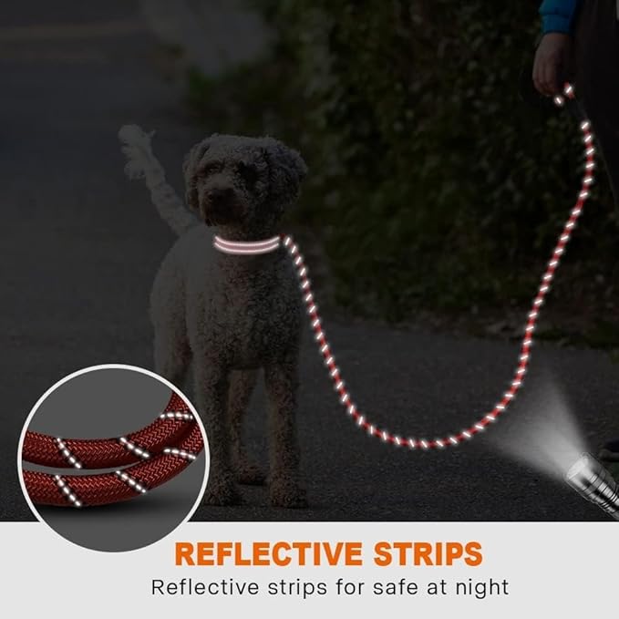 Taglory Rope Dog Leash 4 FT with Comfortable Padded Handle, Highly Reflective Threads Leash for Small Dogs, 3/8 inch, Red