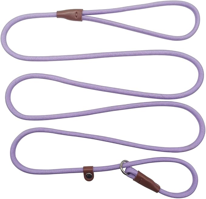 BTINESFUL 7FT Slip Lead Dog Leash, Strong Nylon Rope Leash, 1/4 inch Diam Dog Training Lead for Small Medium Pets Puppies, Purple