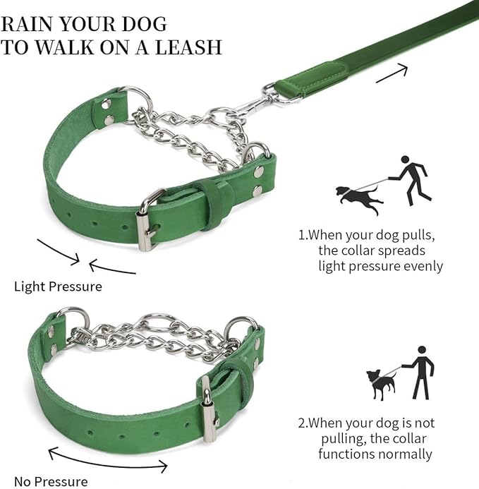 Martingale Collar for Dogs No-Pull Adjustable Training Collar with Stainless Steel Chain - Genuine Leather Anti-Slip Design for Small,Medium,Large Breed Dogs - Green (L)