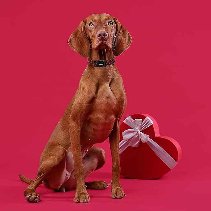 DOGWONG Red Heart Dog Collar Adjustable Soft Natural Fabric Girl Pet Dog Collar Cute Heart Valentine Puppy Necklace for Small Medium Large Dogs