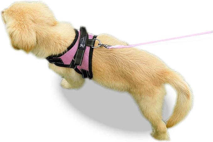 No Pull Reflective Adjustable Dog Harness With Handle- Comfortable Soft All Weather Mesh, Easy On Puppy Harness For Small Medium and Large Dogs (Pink) X-Small