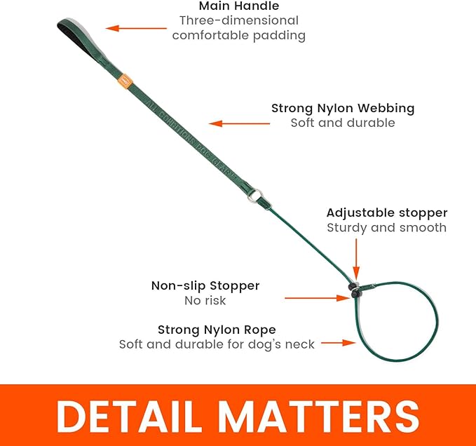 Howgo Dog Slip Lead Dog Leash, Training Lead, No-Pull Slip Leash and Collar, Heavy Duty & Durable Nylon, Padded Handle, for All Breeds (Green, 3.6FT)