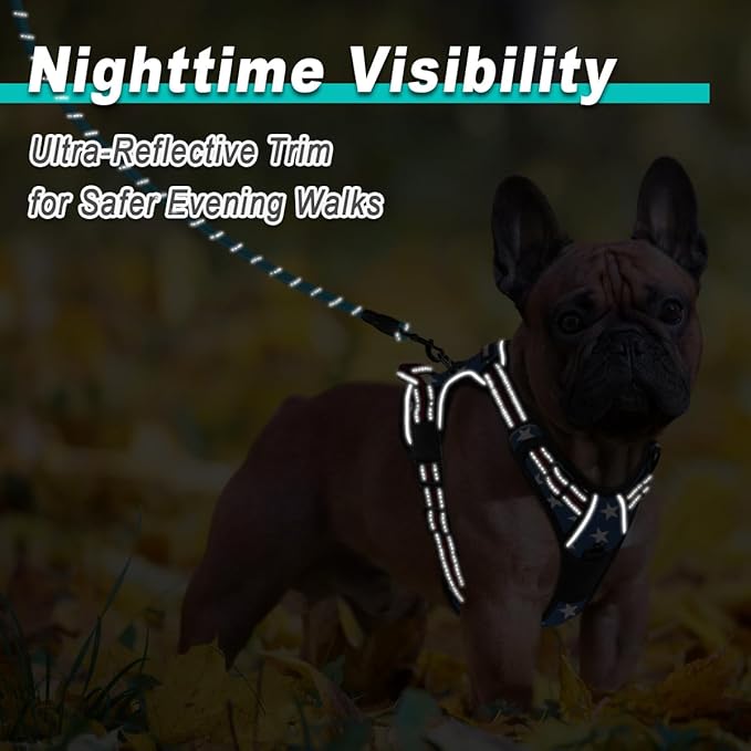 BARKBAY Dog Harness No Pull for Small Dogs - Adjustable, Reflective, Comfortable, No Choke, Heavy-Duty - Perfect for Outdoor Training, Walking, and Hiking - Strong & Durable - XS & Star