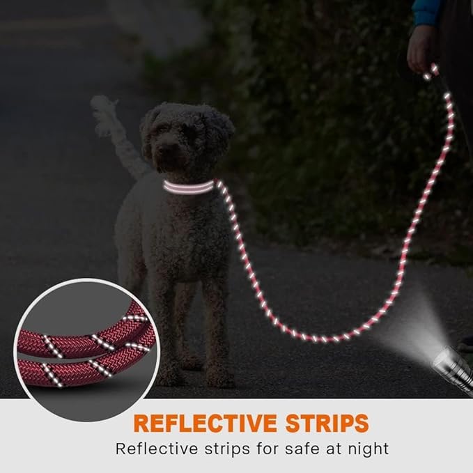 Taglory Rope Dog Leash 6 FT with Comfortable Padded Handle, Highly Reflective Threads Leash for Small Dogs, 3/8 inch, Pink