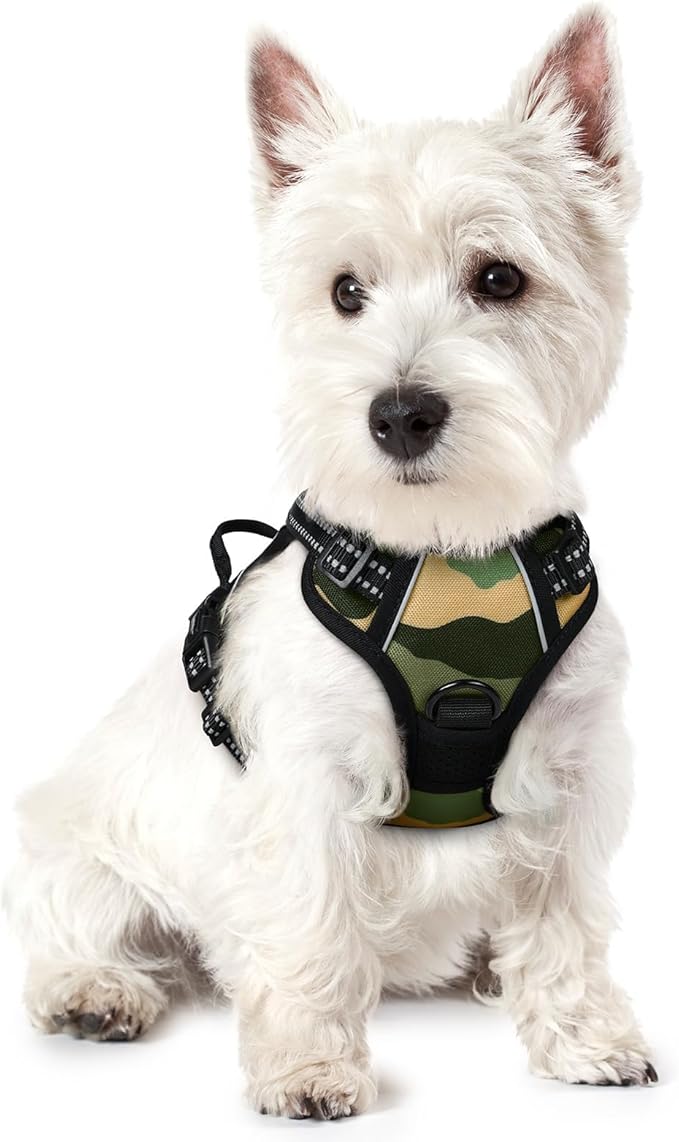 rabbitgoo Dog Harness No Pull with 2 Leash Clips, Adjustable Soft Padded, Reflective Oxford No Choke Pet Vest with Easy Control Handle for Large Dogs, Green Mountain,XS