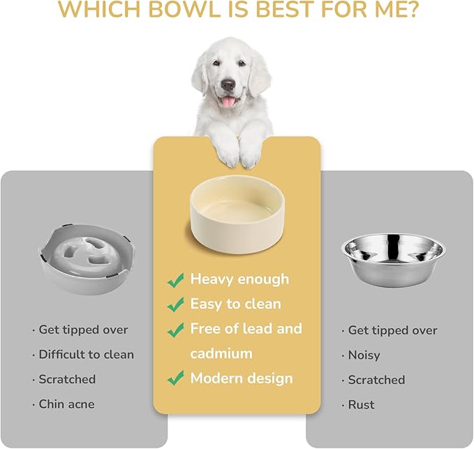 SPUNKYJUNKY 28.7OZ Ceramic Dog and Cat Bowl, Modern Cute Weighted Food Water Bowl for Replacement Beige (1 Pack)