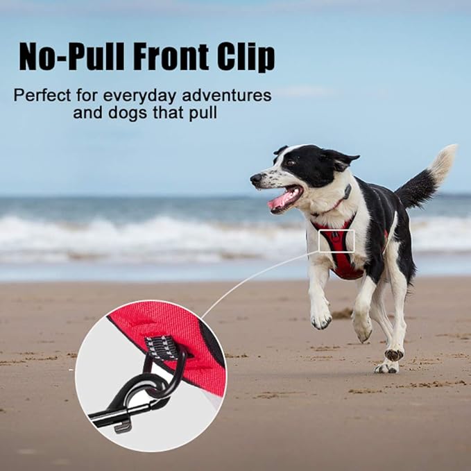 PoyPet No Pull Dog Harness, Reflective Comfortable Vest Harness with Front & Back 2 Leash Attachments and Easy Control Handle Adjustable Soft Padded Pet Vest for Small to Large Dogs (Red,S)