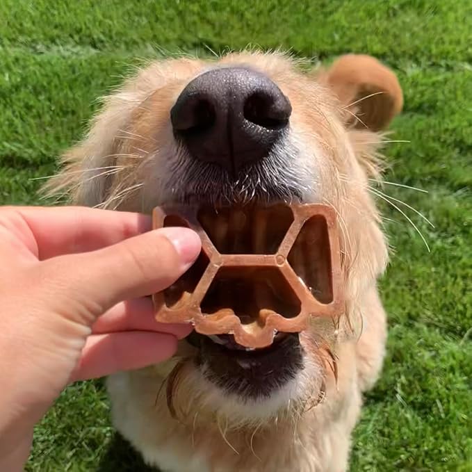 Natural Dental Treats for Dogs, Healthy, Non-GMO Project Verified, Natural Peanut Butter Flavored, Vegetarian Chews, Made in The USA (Hive Chews, Large Breeds) Cleans Teeth and freshens Breath