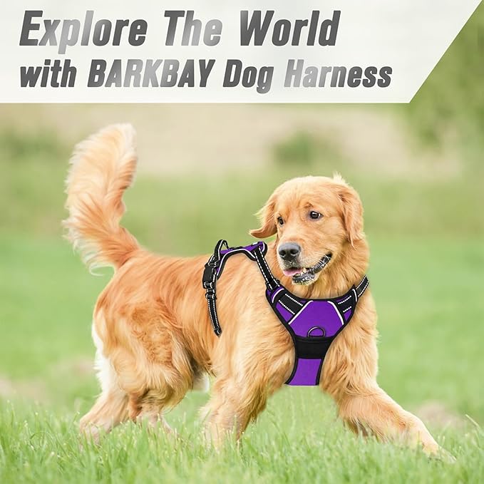 BARKBAY No Pull Dog Harness Front Clip Heavy Duty Reflective Easy Control Handle for Large Dog Walking(Purple,L)