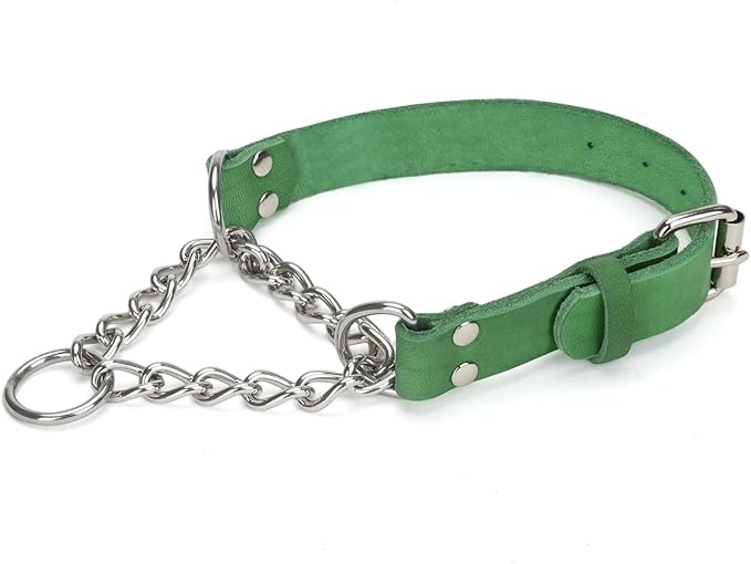 Martingale Collar for Dogs No-Pull Adjustable Training Collar with Stainless Steel Chain - Genuine Leather Anti-Slip Design for Small,Medium,Large Breed Dogs - Green (M)