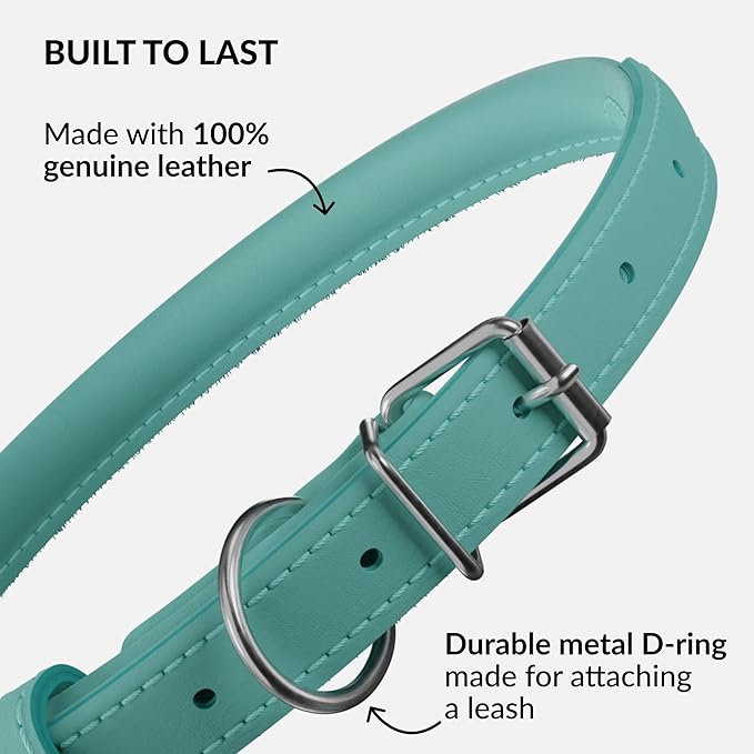 CollarDirect Rolled Leather Dog Collar, Soft Padded Round Puppy Collar, Handmade Genuine Leather Collar Dog Small Large Cat Collars 13 Colors (15-19 Inch, Mint Green Smooth)