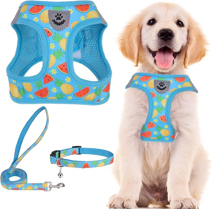 PUPTECK Adjustable Dog Harness Collar and Leash Set Step in No Pull Pet Harness for Small Medium Dogs Puppy and Cats Outdoor Walking Running, Soft Mesh Padded Reflective Vest Harnesses, Sky Blue S