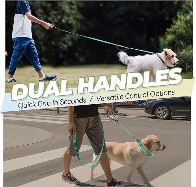 VIVAGLORY Twingrip Dog Leash, Double Handle Dog Leash for Training & Walking with Traffic Handle & 2 Loop, Traffic Control Reflective Heavy Duty for Puppy Pet, 6ft x 1/2in, Turquoise