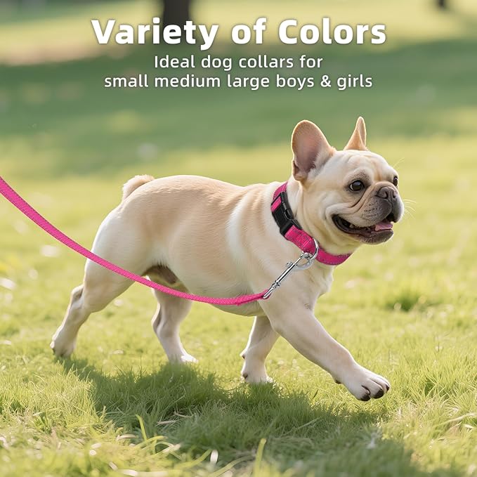 Reflective Dog Collar for Mediunm Dogs, Adjustable Collar with Soft Neoprene Padded, Durable Buckle for Daily Walking,Hotpink,M, 3/4" Width