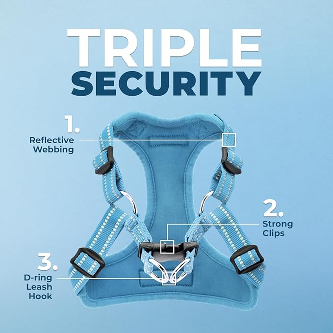 Best Pet Supplies Voyager Adjustable Step-In Flex Breathable Mesh Dog Harness for Small Medium Large Dogs (Baby Blue), M