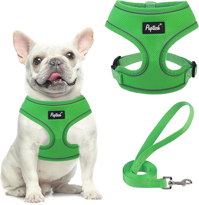 PUPTECK Soft Mesh Dog Harness and Leash Set Pet Puppy Cat Comfort Padded Vest No Pull Harnesses, Solid Green, M