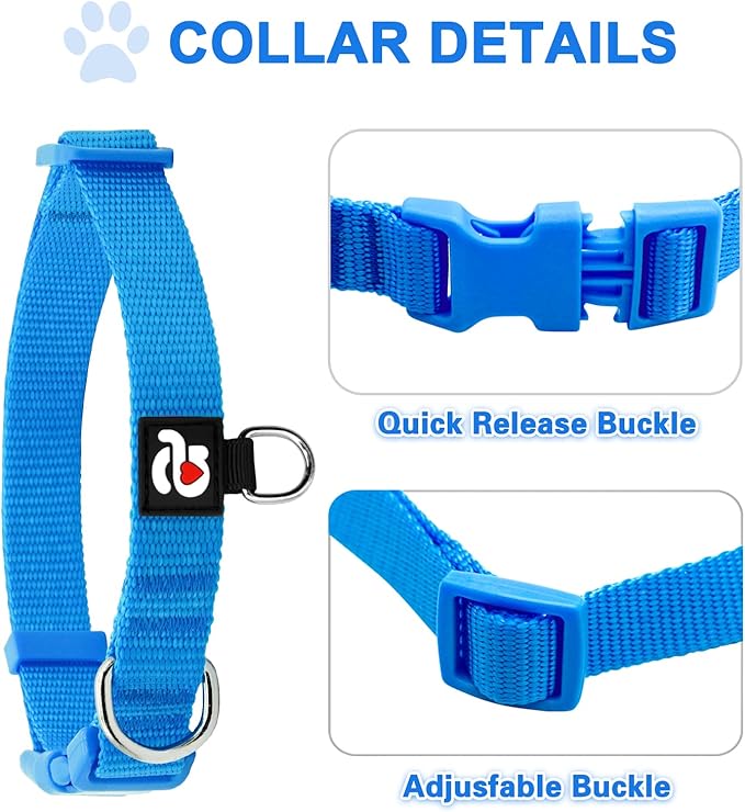 azuza 3 Pack Dog Collars Comfortable and Adjustable Nylon Dog Collars for Puppy Small Dogs, XS (8-12inch)，Green, Blue and Royal Blue