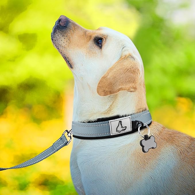 Joytale Dog Collar for Small Dogs, Neoprene Padded and Adjustable, Reflective Wide Heavy Duty Pet Collars with Durable Metal Belt Buckle for Walking, Gray, S