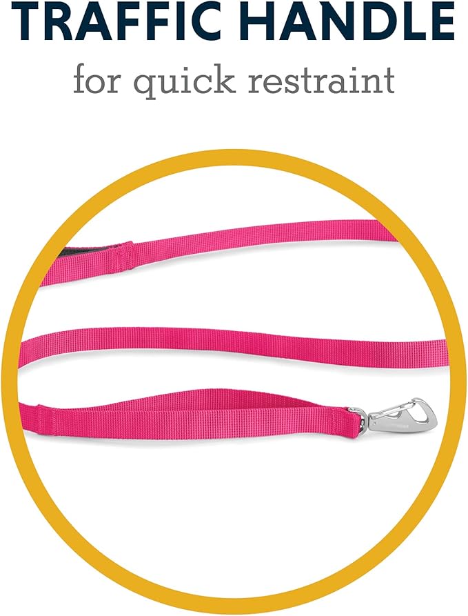 Ruffwear, Front Range Dog Leash, 5 ft Lead with Padded Handle for Everyday Walking, Wildflower