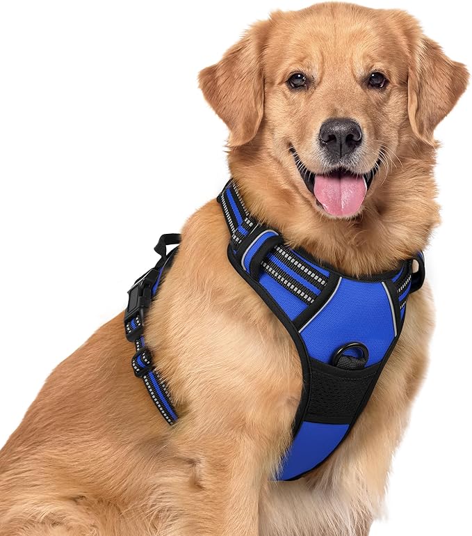 rabbitgoo Dog Harness No Pull with 2 Leash Clips, Adjustable Soft Padded, Reflective Oxford No Choke Pet Vest with Easy Control Handle for Large Dogs, Dazzling Blue, XL