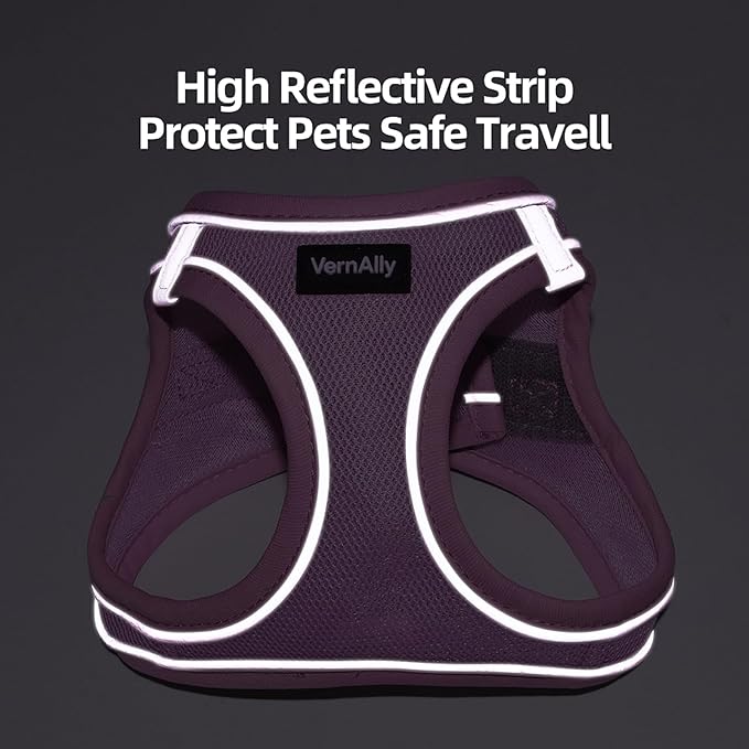Sparkly Dog Harness Small Sized and Leash Set for Small Dogs Cats,Pink XS Puppy Harness, Step in Soft Dog Reflective Vest, Breathable Mesh Pet Harness. (Pink, XS)