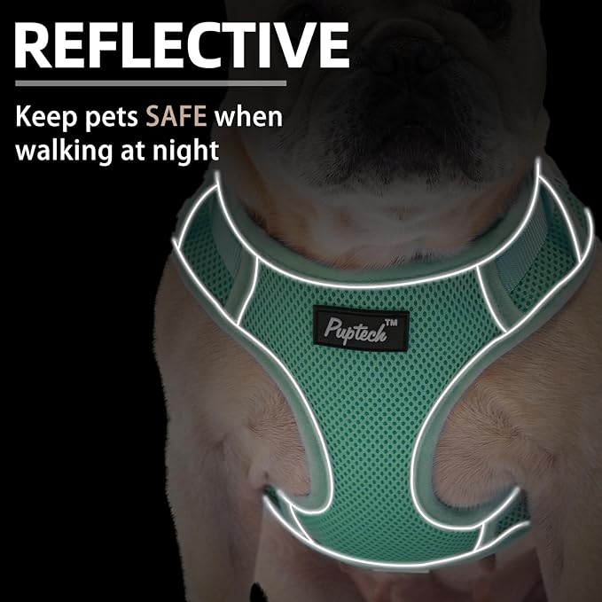 PUPTECK Small Dog Harness and Leash Set, No Pull Adjustable Puppy Cat Harness, Reflective Soft Mesh Pet Vest Small Sized, Green, M
