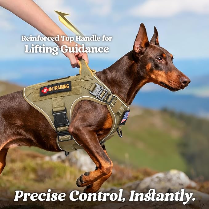 rabbitgoo Tactical Dog Harness Medium Large Sized, No Pull Upgraded Reflective Heavy Duty Molle Vest with Handle, Adjustable Military Service Dog Vest for Walking Hiking Training, Brown, M