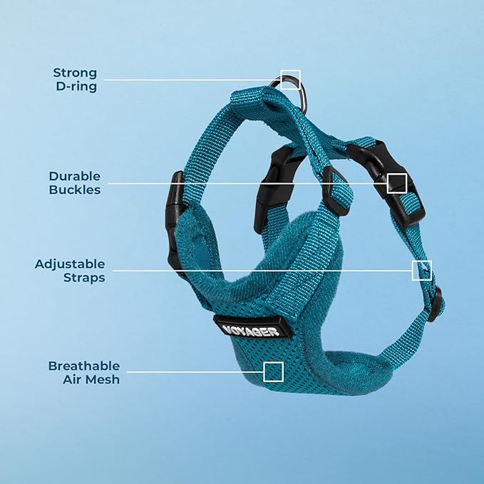 Voyager Step-in Pet Harness - All Weather Mesh, Adjustable Step in Harness for Cats and Dogs by Best Pet Supplies - Turquoise, XS
