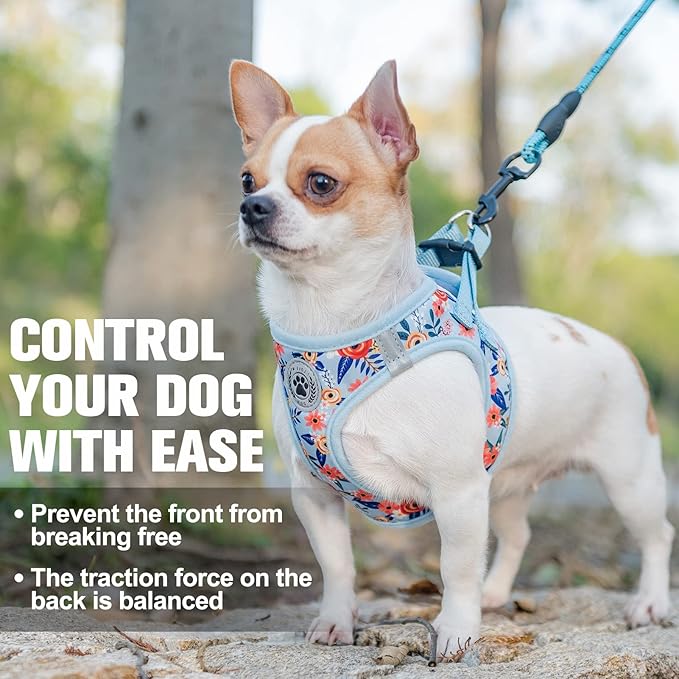 BEAUTYZOO Step in Dog Harness and Leash Set,Floral Pattern Reflective Dog Harness No Pull No Choke Puppy Harness for Small Medium Large Dogs Cats,Soft Padded Mesh Vest Harnesses for Girl and Boy Pets