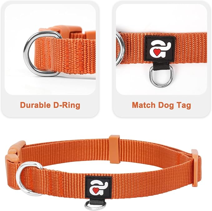 azuza 3 Pack Fall Dog Collars Comfortable and Adjustable Nylon Dog Collars for Large Dogs, L (18-26inch)， Ginger Yellow, Rust Orange and Latte Brown
