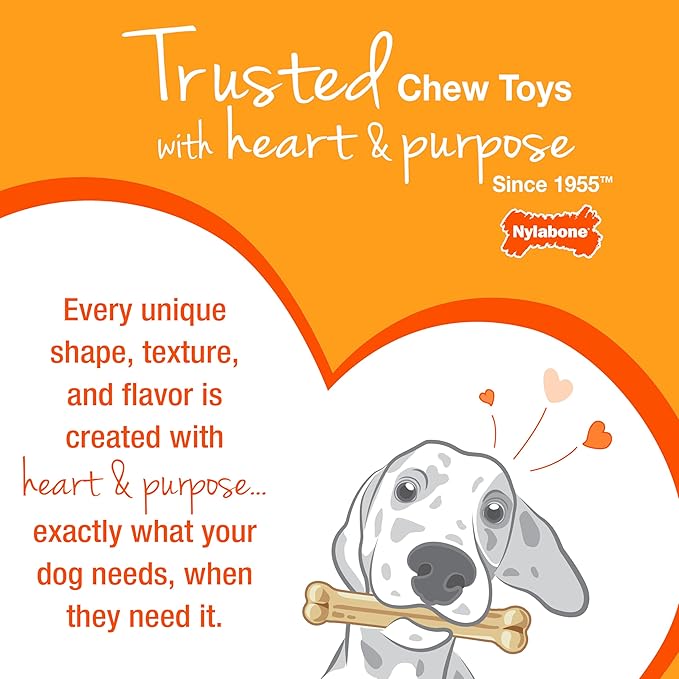 Nylabone Textured Bone Power Chew Toy for Dogs, Durable & Tough Dog Toys for Aggressive Chewers, Basted Blast Bacon & Steak Flavor, Medium Dogs - Up to 35 lbs, 1 Count
