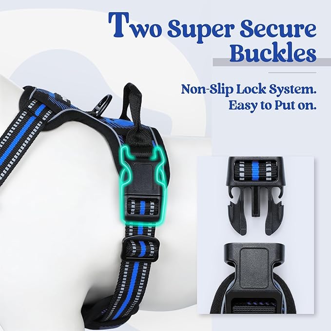 rabbitgoo Dog Harness No-Pull, Comfortable Padded Plaid Harness with Handle Easy Control, Adjustable Reflective Pet Vest with 2 Leash Clips for Small Dog, Blue Plaid, S