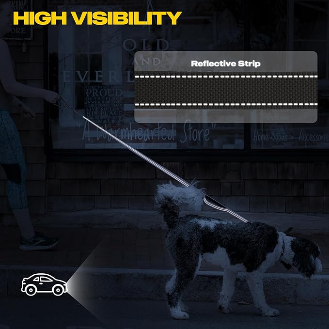 Fida 10ft Heavy Duty Dog Leash with 2 Comfortable Padded Handles, Traffic Handle & Advanced Easy Snap Hook, Reflective Walking Lead for Large, Medium & Small Breed Dogs, Grey