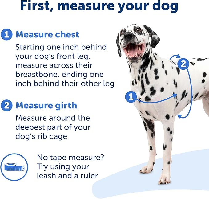 PetSafe Easy Walk Harness for Dogs - Pull-Free Walks - Patented Martingale Loop Design - Front Chest Leash Attachment - Comfort Straps - Breathable Harness Design - Medium/Large, Black/Silver