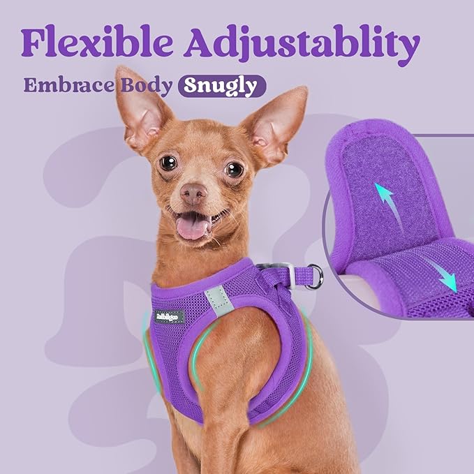 rabbitgoo Small Dog Harness, Step-in Soft Mesh Puppy Vest with Safety Buckle, Breathable Reflective Pet Harness for Small Sized Dogs, Purple M