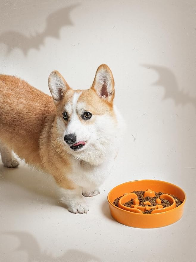 LE TAUCI Ceramic Puzzle Feeder Elevated 3 Cup with Wood Stand for Small Medium Dog & Puppy, Fast Eater Raised Dish Pumpkin Orange