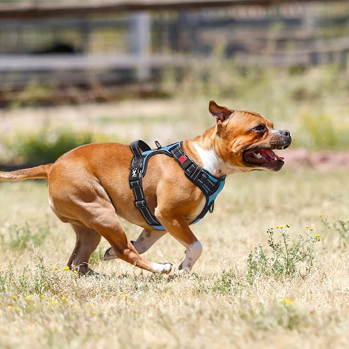 PoyPet No Pull Dog Harness, No Choke Front Lead Dog Reflective Harness, Adjustable Soft Padded Pet Vest with Easy Control Handle for Small to Large Dogs(Blue,S)