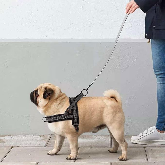 Didog No Pull Dog Harness with Breathable Mesh Padded, Full Reflective & Quick Fit Adjustable Vest Harness, Easy for Training Walking for Small & Medium and Large Dogs (Black, M:Chest 21-26")