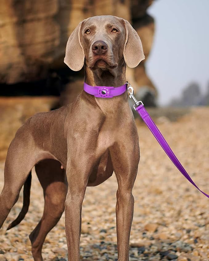 Reflective Dog Leash 4ft Soft Padded Handle Nylon Lead for Small & Medium Dogs, Durable Walking Training Leash for Night Safety (Purple,1Inch Wide)