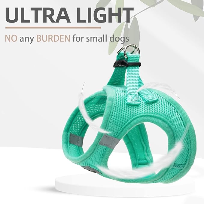 PUPTECK Adjustable Dog Harness Collar and Leash Set Step in No Pull Pet Harness for Small Medium Dogs Puppy and Cats Outdoor Walking Running, Soft Mesh Padded Reflective Vest Harnesses, Solid Green XS