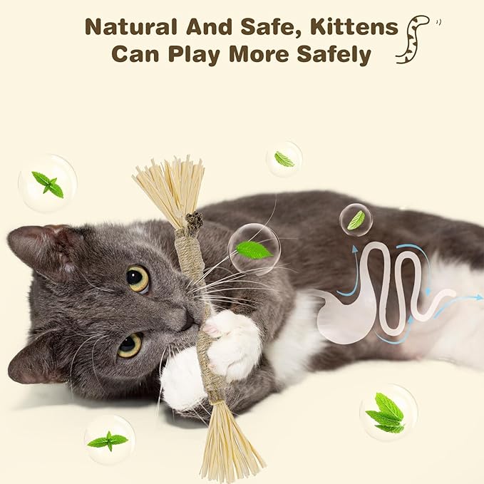 4 Pack Silvervine Sticks for Cats - Cat Chew Toy for Teeth Cleaning, Edible Matatabi Kitty Chew Sticks, Catnip Cat Toys for Indoor Cats (8 Sticks)